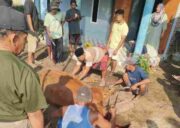 Idul Adha 1447 Hijriyah, Jumlah Pemotongan Ternak Kurban di Kabupaten Probolinggo Capai 3.899 Ekor