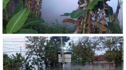 Asap Misterius Berbau Gas Muncul dari Gudang PT NESR, Aktivitas Warga Selogabus Terganggu Asap Misterius Berbau Gas Muncul dari Gudang PT NESR, Aktivitas Warga Selogabus Terganggu