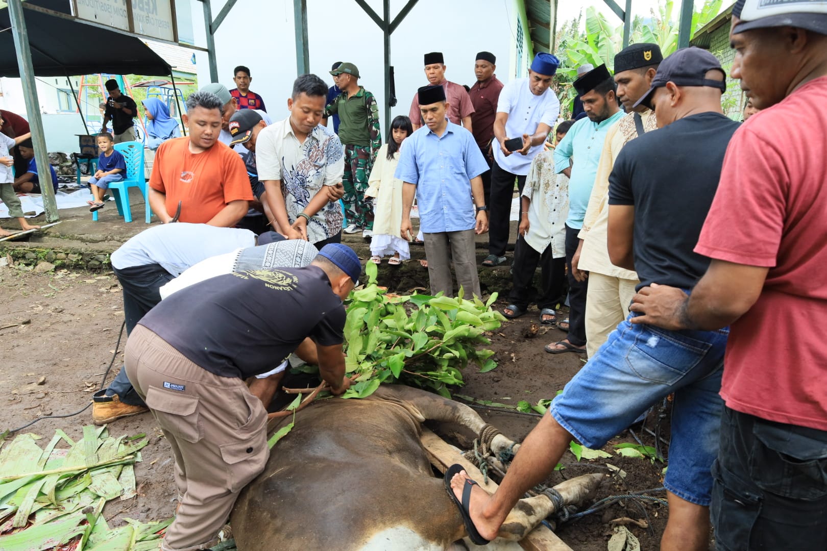 Tebar Kebahagiaan di Hari Raya, Kodim 1505/Tidore Sembelih Hewan Qurban Tebar Kebahagiaan di Hari Raya, Kodim 1505/Tidore Sembelih Hewan Qurban
