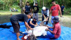 Tak Sekedar Kurban, Lanud Sjamsudin Noor Rajut Kebersamaan dan Kepedulian Semangat Berbagi Kepada Sesama di Hari Raya Idul Adha 1447 H/2026 M