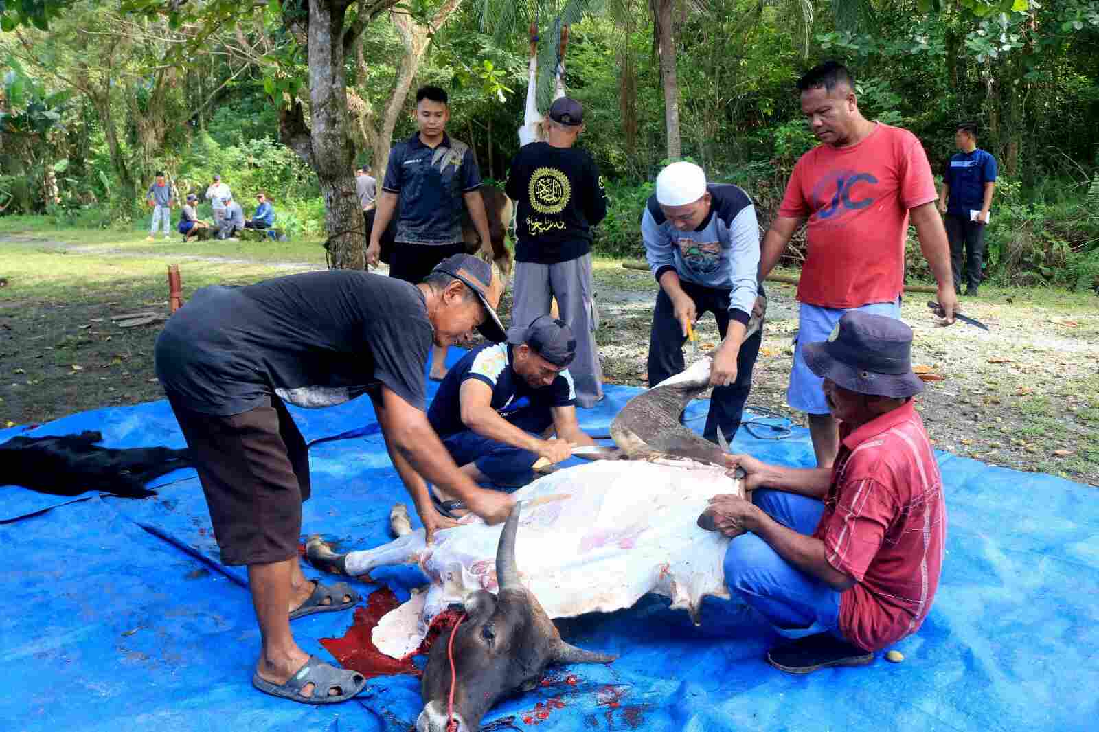 Tak Sekedar Kurban, Lanud Sjamsudin Noor Rajut Kebersamaan dan Kepedulian Semangat Berbagi Kepada Sesama di Hari Raya Idul Adha 1447 H/2026 M Tak Sekedar Kurban, Lanud Sjamsudin Noor Rajut Kebersamaan dan Kepedulian Semangat Berbagi Kepada Sesama di Hari Raya Idul Adha 1447 H/2026 M