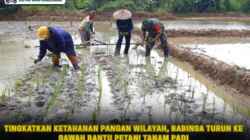 Tingkatkan Ketahanan Pangan Wilayah, Babinsa Turun ke Sawah Bantu Petani Tanam Padi