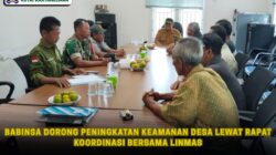 Babinsa Dorong Peningkatan Keamanan Desa Lewat Rapat Koordinasi Bersama Linmas