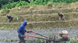 Sinergi Ketahanan Pangan, Babinsa Selorejo Turun Ke Sawah Bantu Warga Siapkan Lahan Padi Sinergi Ketahanan Pangan, Babinsa Selorejo Turun Ke Sawah Bantu Warga Siapkan Lahan Padi