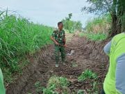 Babinsa Karang Gondang Bersama Warga Gotong Royong Bersihkan Jalan Akses Lahan Pertanian