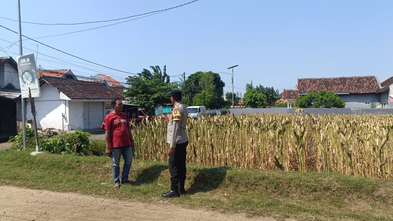 Polres Probolinggo Kota Bergerak, Petani Jagung Jadi Garda Terdepan Ketahanan Pangan Nasional