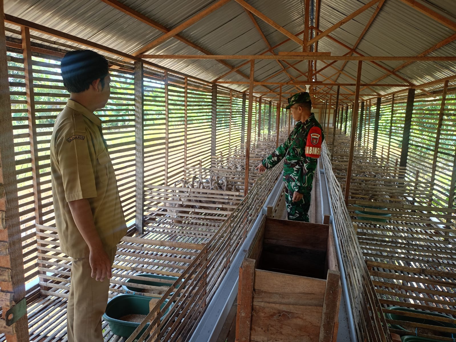 Melalui Komsos, Babinsa Dorong Kemajuan Peternakan Itik Petelur Desa Kasarangan