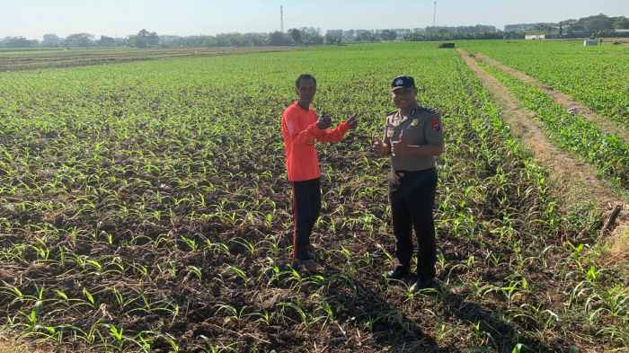 Kapolsek Kademangan: Sinergi Petani dan Polisi Kunci Ketahanan Pangan Berkelanjutan