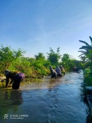 Pemdes Pajarakan Kulon Gelar PKTD 2026, Normalisasi Irigasi dan Serap Tenaga Kerja Warga