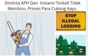 Tangkap Dan Penjarakan Dugaan Ilegal Loging Di Kecamatan Mamosalato Dan Bungku Utara, Tidak Miliki Izin PHAT.