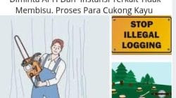 Halo Apa Kabar APH, Dugaan Hutan Mamosalato Dan Bungku Utara Dijarah, Terkesan Adanya Pembiaran.  ​