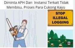 Halo Apa Kabar APH, Dugaan Hutan Mamosalato Dan Bungku Utara Dijarah, Terkesan Adanya Pembiaran. ​
