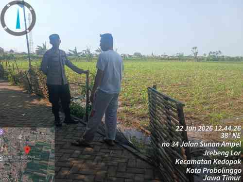 Jagung Tumbuh, Ketahanan Pangan Menguat: Polisi Kedopok Turun Langsung ke Lapangan