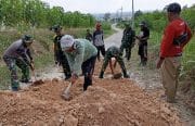 Babinsa Bubulan Bojonegoro dan Warga Kompak Perbaiki Jalan Dusun Maor