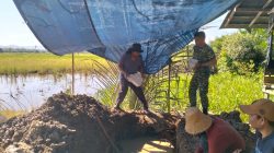 Empat jembatan strategis di HST terus dikebut pembangunannya