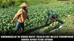 Kemanunggalan TNI Dengan Rakyat Terjalin Erat Melalui Pendampingan Babinsa Kepada Petani Sayuran Kemanunggalan TNI Dengan Rakyat Terjalin Erat Melalui Pendampingan Babinsa Kepada Petani Sayuran