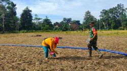 Sinergi Ketahanan Pangan, Serma Yonanda Dampingi Poktan Makmur Tanam Bibit Jagung