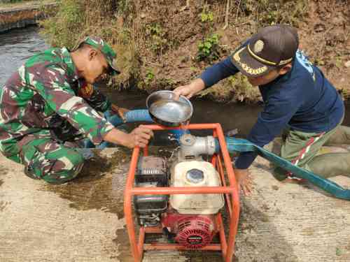 Antisipasi Kekeringan, Babinsa Sidomulyo Sertu Krida Dwi Bantu Pengairan Sawah Gunakan Pompa Air Antisipasi Kekeringan, Babinsa Sidomulyo Sertu Krida Dwi Bantu Pengairan Sawah Gunakan Pompa Air