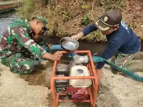 Antisipasi Kekeringan, Babinsa Sidomulyo Sertu Krida Dwi Bantu Pengairan Sawah Gunakan Pompa Air