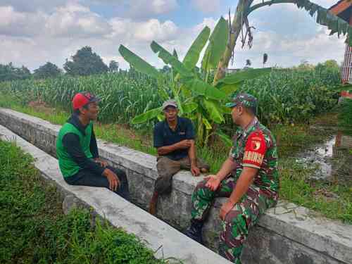 Serap Aspirasi Petani, Sertu Yudhi Rimba Gelar Komsos Ketahanan Pangan Bersama Poktan Kembang Kuning