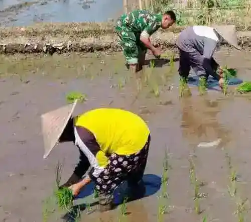 Lestarikan Alam, Babinsa Sidomulyo Sertu Deny Bersama Warga Gelar Aksi Tanam Pohon