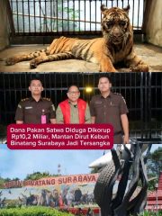 Dugaan Korupsi Anggaran Pakan Satwa Rugikan Negara Rp10,2 Miliar, Eks Dirut KBS Ditahan Kejati Jatim