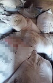 Dugaan Penyalahgunaan Pupuk dan BBM Bersubsidi pada Perkebunan Sawit di Birem Bayeun Jadi Sorotan Publik