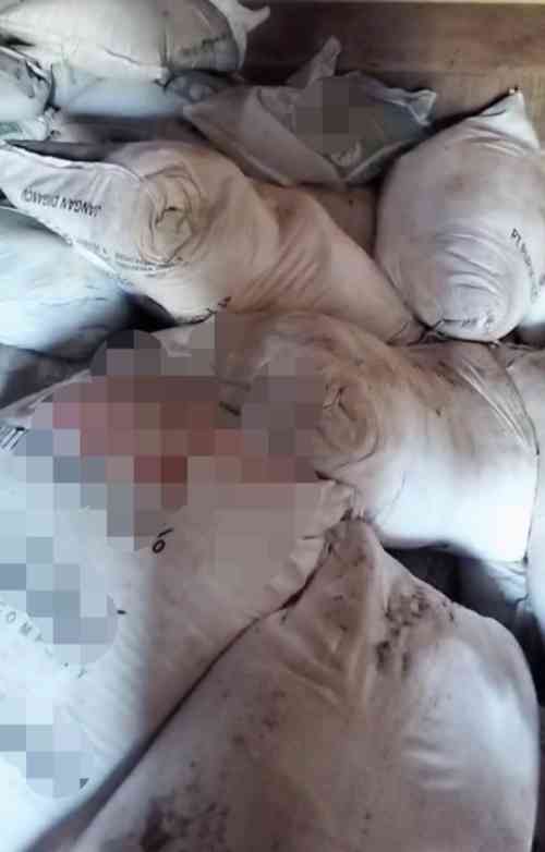Dugaan Penyalahgunaan Pupuk dan BBM Bersubsidi pada Perkebunan Sawit di Birem Bayeun Jadi Sorotan Publik