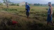 Teridentifikasi Lewat Sidik Jari, Pria Asal Pasuruan Diduga Jadi Korban Pembunuhan di Probolinggo Kota