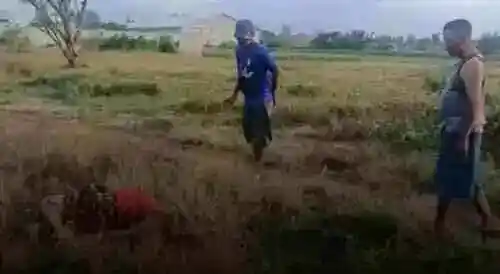 Teridentifikasi Lewat Sidik Jari, Pria Asal Pasuruan Diduga Jadi Korban Pembunuhan di Probolinggo Kota