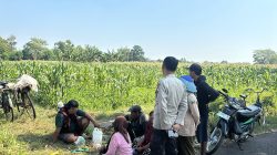 Polsek Wonoasih Perkuat Ketahanan Pangan Lewat Dialog dengan Petani Jagung Polsek Wonoasih Perkuat Ketahanan Pangan Lewat Dialog dengan Petani Jagung