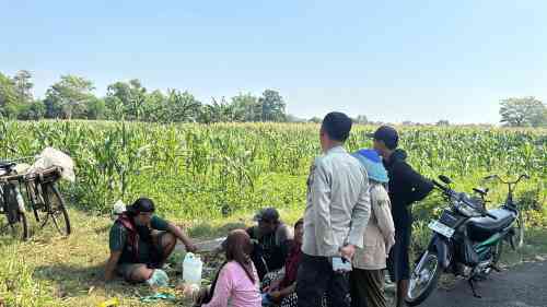 Polsek Wonoasih Perkuat Ketahanan Pangan Lewat Dialog dengan Petani Jagung Polsek Wonoasih Perkuat Ketahanan Pangan Lewat Dialog dengan Petani Jagung