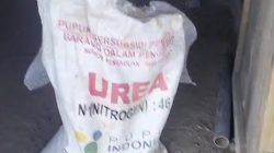 Dugaan Perkebunan Sawit Tanpa IUP dan Penyalahgunaan Barang Bersubsidi Disorot, Penegakan Hukum Dipertanyakan
