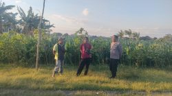 Polri Hadir di Tengah Petani, Polsubsektor Kanigaran Perkuat Sinergi Ketahanan Pangan