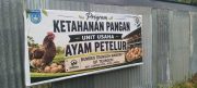 Dugaan Kasus Perizinan Ayam Petelur Belum Berprogres, Kinerja Polres Langsa Disorot
