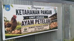 Dugaan Kasus Perizinan Ayam Petelur Belum Berprogres, Kinerja Polres Langsa Disorot