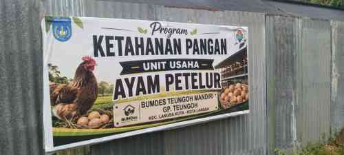 Dugaan Kasus Perizinan Ayam Petelur Belum Berprogres, Kinerja Polres Langsa Disorot Dugaan Kasus Perizinan Ayam Petelur Belum Berprogres, Kinerja Polres Langsa Disorot