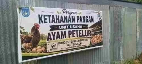 Dugaan Kasus Perizinan Ayam Petelur Belum Berprogres, Kinerja Polres Langsa Disorot