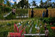 Wujud Nyata Sinergi, Bhabinkamtibmas Polsek Randuagung Dampingi Petani Wujudkan Ketahanan Pangan Nasional