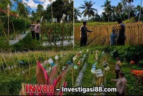 Wujud Nyata Sinergi, Bhabinkamtibmas Polsek Randuagung Dampingi Petani Wujudkan Ketahanan Pangan Nasional