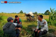 Polsek Wonoasih Perkuat Ketahanan Pangan Nasional, Binmas Serap Aspirasi Petani di Pakistaji