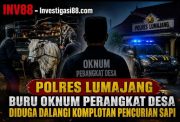 Polres Lumajang Buru Oknum Perangkat Desa Diduga Dalangi Komplotan Pencurian Sapi