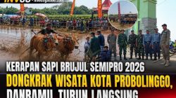 Kerapan Sapi Brujul Semipro 2026 Dongkrak Wisata Kota Probolinggo, Danramil Turun Langsung