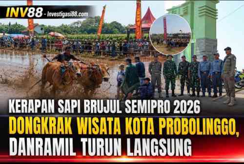 Kerapan Sapi Brujul Semipro 2026 Dongkrak Wisata Kota Probolinggo, Danramil Turun Langsung