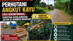 Perhutani Angkut Kayu Usai Dikonfirmasi, Sorotan Keselamatan Jalan di Sumber Menguat