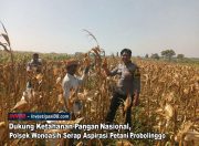 Dukung Ketahanan Pangan Nasional, Polsek Wonoasih Serap Aspirasi Petani Probolinggo