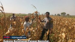 Dukung Ketahanan Pangan Nasional, Polsek Wonoasih Serap Aspirasi Petani Probolinggo Dukung Ketahanan Pangan Nasional, Polsek Wonoasih Serap Aspirasi Petani Probolinggo