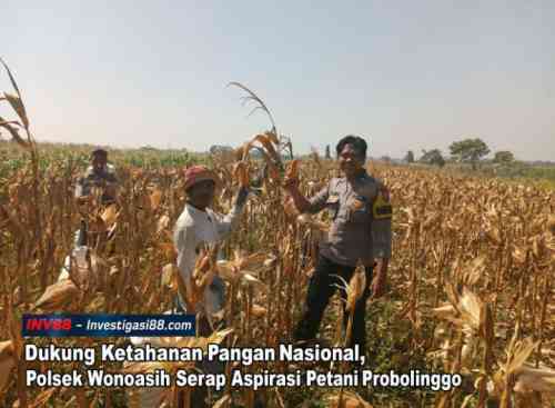 Dukung Ketahanan Pangan Nasional, Polsek Wonoasih Serap Aspirasi Petani Probolinggo Dukung Ketahanan Pangan Nasional, Polsek Wonoasih Serap Aspirasi Petani Probolinggo