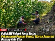 Polisi RW Polsek Kunir Tinjau Pekarangan Pangan Bergizi Warga Sukosari Dukung Asta Cita