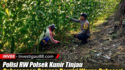 Polisi RW Polsek Kunir Tinjau Pekarangan Pangan Bergizi Warga Sukosari Dukung Asta Cita Polisi RW Polsek Kunir Tinjau Pekarangan Pangan Bergizi Warga Sukosari Dukung Asta Cita